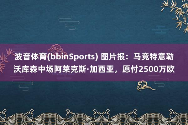 波音体育(bbinSports) 图片报：马竞特意勒沃库森中场阿莱克斯·加西亚，愿付2500万欧
