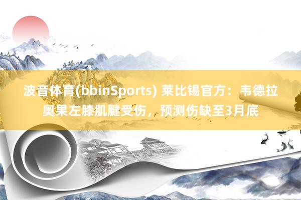 波音体育(bbinSports) 莱比锡官方：韦德拉奥果左膝肌腱受伤，预测伤缺至3月底