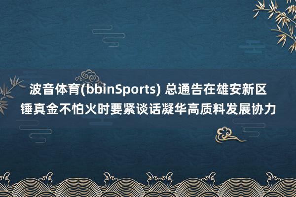 波音体育(bbinSports) 总通告在雄安新区锤真金不怕火时要紧谈话凝华高质料发展协力