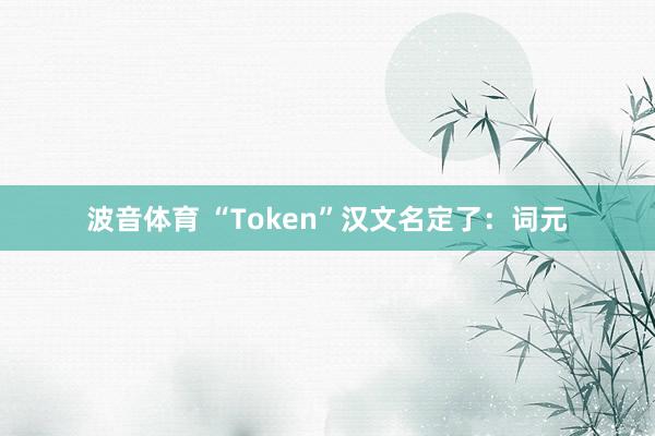 波音体育 “Token”汉文名定了：词元