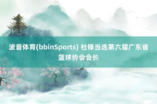 波音体育(bbinSports) 杜锋当选第六届广东省篮球协会会长