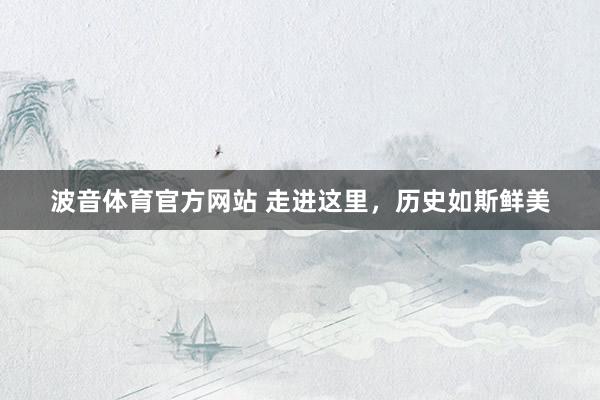 波音体育官方网站 走进这里，历史如斯鲜美