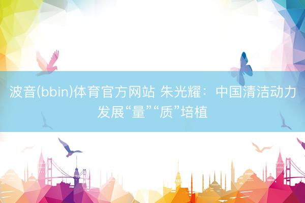 波音(bbin)体育官方网站 朱光耀：中国清洁动力发展“量”“质”培植