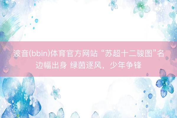 波音(bbin)体育官方网站 “苏超十二骏图”名边幅出身 绿茵逐风,少年争锋