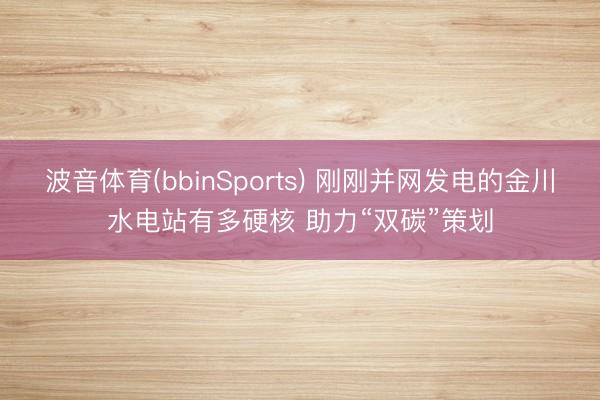 波音体育(bbinSports) 刚刚并网发电的金川水电站有多硬核 助力“双碳”策划