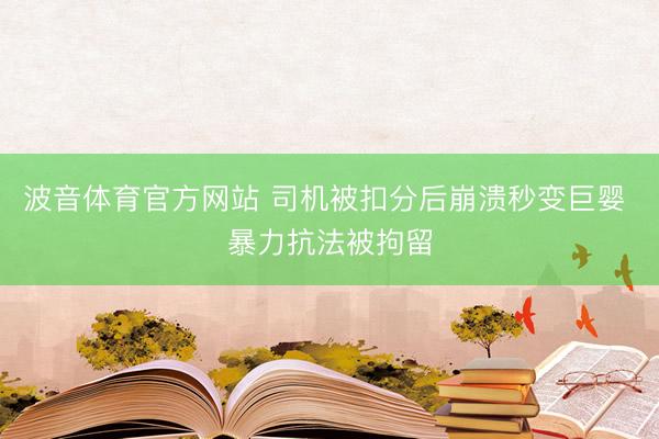 波音体育官方网站 司机被扣分后崩溃秒变巨婴 暴力抗法被拘留
