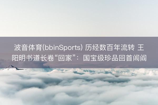 波音体育(bbinSports) 历经数百年流转 王阳明书道长卷“回家”:国宝级珍品回首闾阎