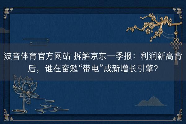 波音体育官方网站 拆解京东一季报：利润新高背后，谁在奋勉“带电”成新增长引擎？