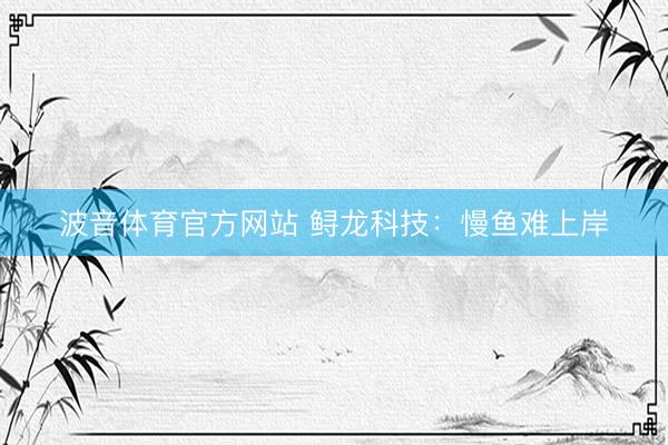 波音体育官方网站 鲟龙科技:慢鱼难上岸