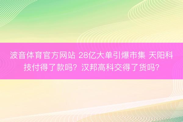 波音体育官方网站 28亿大单引爆市集 天阳科技付得了款吗？汉邦高科交得了货吗？