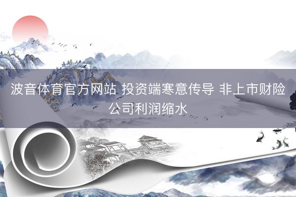 波音体育官方网站 投资端寒意传导 非上市财险公司利润缩水