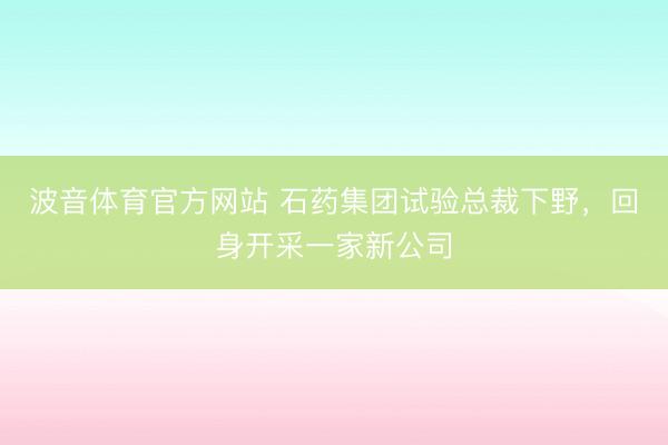 波音体育官方网站 石药集团试验总裁下野，回身开采一家新公司