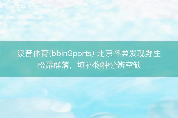 波音体育(bbinSports) 北京怀柔发现野生松露群落,填补物种分辨空缺