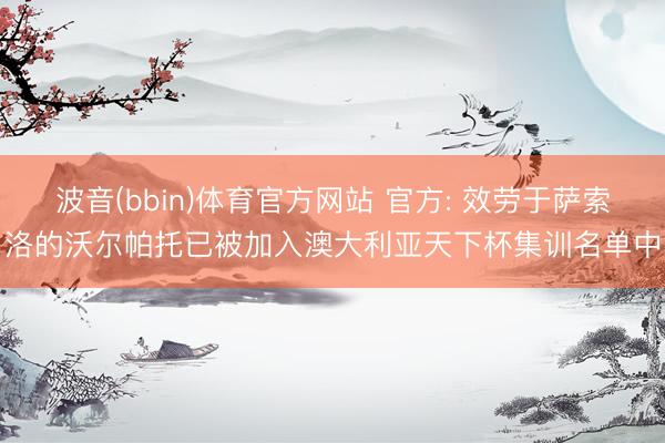 波音(bbin)体育官方网站 官方: 效劳于萨索洛的沃尔帕托已被加入澳大利亚天下杯集训名单中