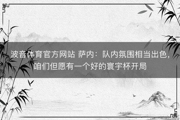 波音体育官方网站 萨内:队内氛围相当出色,咱们但愿有一个好的寰宇杯开局