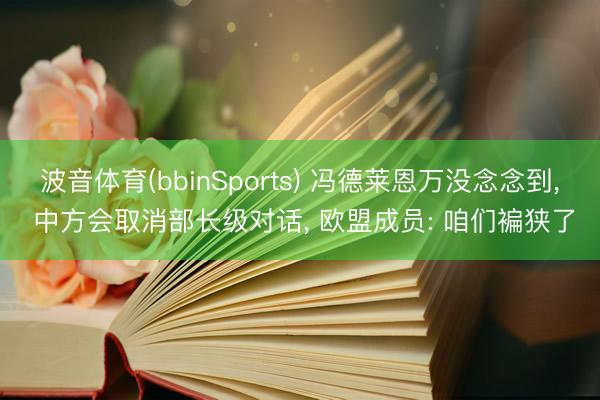 波音体育(bbinSports) 冯德莱恩万没念念到， 中方会取消部长级对话， 欧盟成员: 咱们褊狭了