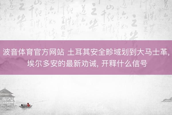 波音体育官方网站 土耳其安全畛域划到大马士革， 埃尔多安的最新劝诫， 开释什么信号