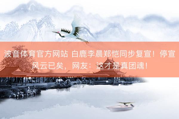 波音体育官方网站 白鹿李晨郑恺同步复宣！停宣风云已矣，网友：这才是真团魂！