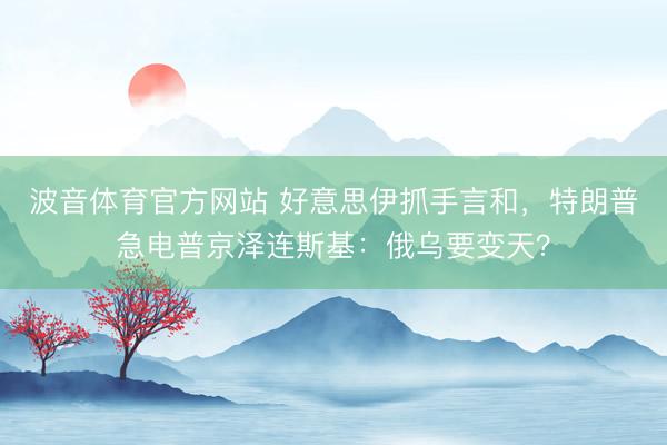 波音体育官方网站 好意思伊抓手言和，特朗普急电普京泽连斯基：俄乌要变天？