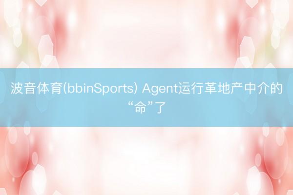 波音体育(bbinSports) Agent运行革地产中介的“命”了